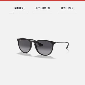 Ray-Ban Erika Sunglasses